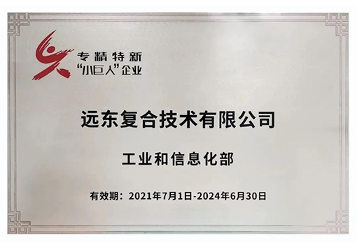 申博官网复合技术专精特新小巨人企业